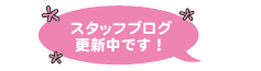 スタッフブログ更新中